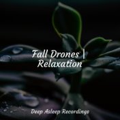 Fall Drones | Relaxation