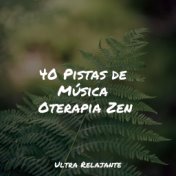 40 Pistas de Música Oterapia Zen