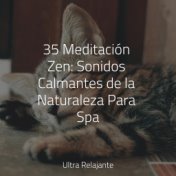 35 Meditación Zen: Sonidos Calmantes de la Naturaleza Para Spa
