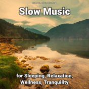 Slow Music for Sleeping, Relaxation, Wellness, Tranquility