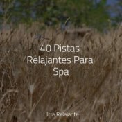 40 Pistas Relajantes Para Spa