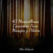 40 Maravillosas Canciones Para Masajes y Pilates