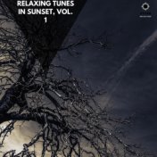 Relaxing Tunes in Sunset, Vol. 1