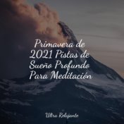 Primavera de 2021 Pistas de Sueño Profundo Para Meditación