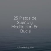 25 Pistas de Sueño y Meditación En Bucle