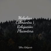 Melodías Calmantes | Relajación Placentera