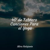 40 de Febrero Canciones Para el Yoga