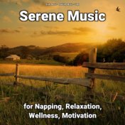 Serene Music for Napping, Relaxation, Wellness, Motivation