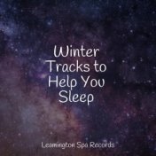 Winter Tracks to Help You Sleep