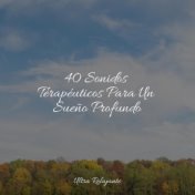 40 Sonidos Terapéuticos Para Un Sueño Profundo