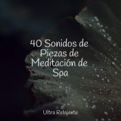 40 Sonidos de Piezas de Meditación de Spa