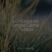 40 Música de Simple Calma Terapia