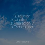 25 Música Relajante Para la Relajación y la Tranquilidad