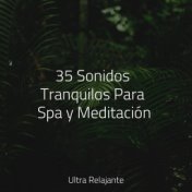 35 Sonidos Tranquilos Para Spa y Meditación