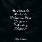 40 Pistas de Música de Meditación Para Un Sueño Profundo y Relajación