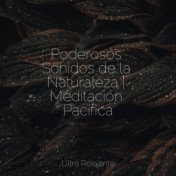 Poderosos Sonidos de la Naturaleza | Meditación Pacífica