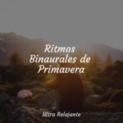 Ritmos Binaurales de Primavera