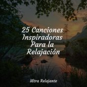 25 Canciones Inspiradoras Para la Relajación