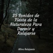 25 Sonidos de Fiesta de la Naturaleza Para Dormir y Relajarse