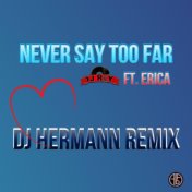 Never Say Too Far (DJ Hermann Remix)