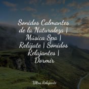 Sonidos Calmantes de la Naturaleza | Música Spa | Relájate | Sonidos Relajantes | Dormir