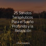 25 Sonidos Terapéuticos Para el Sueño Profundo y la Relajación