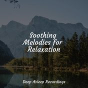 Soothing Melodies for Relaxation