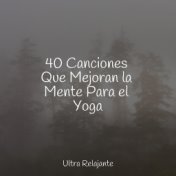 40 Canciones Que Mejoran la Mente Para el Yoga