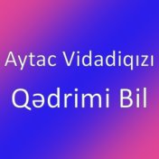 Qədrimi Bil