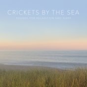 Crickets by the Sea (Sounds for Relaxation and Sleep)