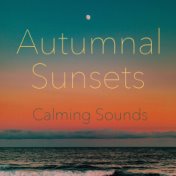 Autumnal Sunsets Calming Sounds