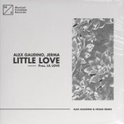 Little Love (pres. Lil' Love) (Alex Gaudino & Hiisak Remix)