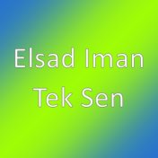 Tek Sen