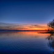 # 1 Sonidos Relajantes de la Naturaleza Para Dormir y Relajarse