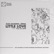 Little Love (pres. Lil' Love) (Alex Gaudino & Dyson Kellerman Discotronik 2020 Remix)