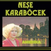 Neşe Karaböcek