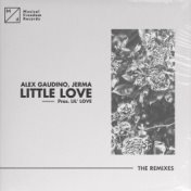 Little Love (pres. Lil' Love) (The Remixes)
