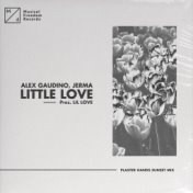 Little Love (pres. Lil' Love) (Plaster Hands Sunset Mix)
