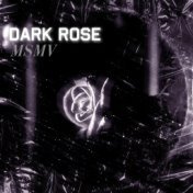 Dark Rose