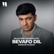 Bevafo dil (remix by Dj Izzat)