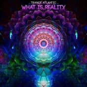 What Is Reality