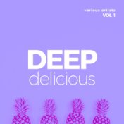 Deep Delicious, Vol. 1