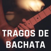 Tragos de Bachata