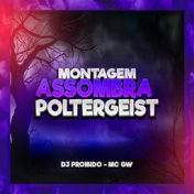 Montagem - Assombra Poltergeist