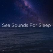 !!" Sea Sounds For Sleep "!!
