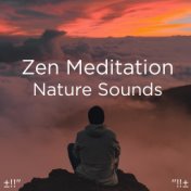 ±!!" Zen Meditation Nature Sounds "!!±
