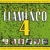 Yo Sueno Flamenco, Vol. 4