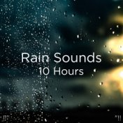 !!" Rain Sounds 10 Hours "!!