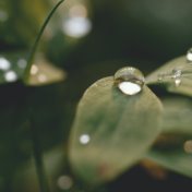 Meditative Rain Music | Best of Mountain Rain Collection