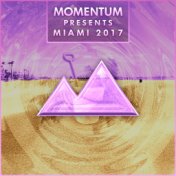 Momentum Presents Miami 2017